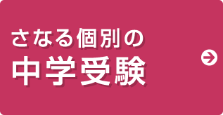 さなる個別の中学受験