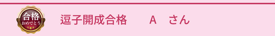 逗子開成合格 Aさん